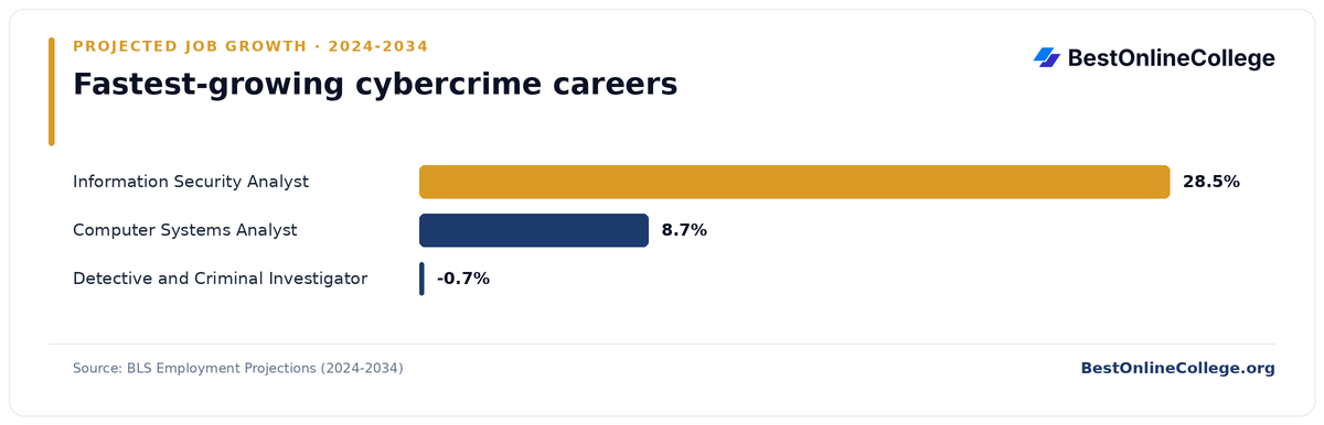 Bar chart of the fastest-growing cybercrime careers by projected job growth 2024 to 2034 (BLS Employment Projections): Information Security Analyst 28.5%; Computer Systems Analyst 8.7%; Detective and Criminal Investigator -0.7%