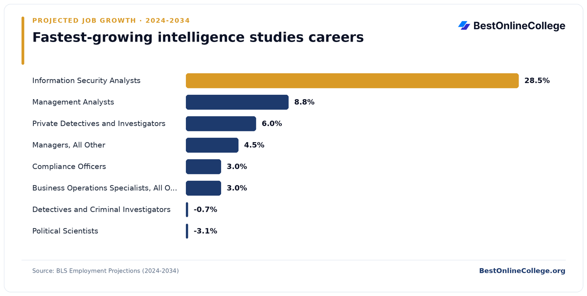 Bar chart of the fastest-growing intelligence studies careers by projected job growth 2024 to 2034 (BLS Employment Projections): Information Security Analysts 28.5%; Management Analysts 8.8%; Private Detectives and Investigators 6.0%; Managers, All Other 4.5%; Compliance Officers 3.0%; Business Operations Specialists, All Other 3.0%; Detectives and Criminal Investigators -0.7%; Political Scientists -3.1%