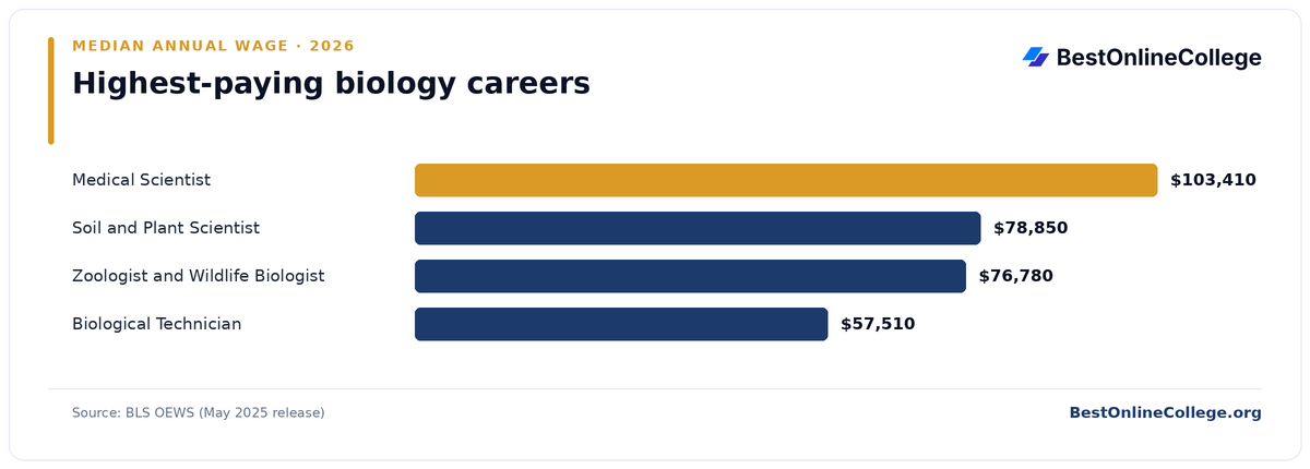 Bar chart of the highest-paying biology careers by median annual wage (BLS OEWS, May 2025): Medical Scientist $103,410; Soil and Plant Scientist $78,850; Zoologist and Wildlife Biologist $76,780; Biological Technician $57,510