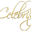 Celebrity Stylist Beauty School logo