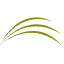 House of Heavilin Beauty College-Blue Springs logo