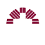 Mount Carmel College of Nursing logo