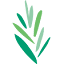 Reconstructionist Rabbinical College logo