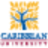 Caribbean University-Vega Baja logo