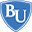 Bryan University logo