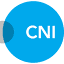 Career Networks Institute logo