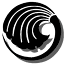 Daoist Traditions College of Chinese Medical Arts logo