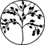The Chrysm Institute of Esthetics logo