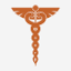 The College of Health Care Professions-McAllen Campus logo