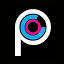 The Professional Cosmetology Academy logo