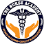 The Nurse Academy logo